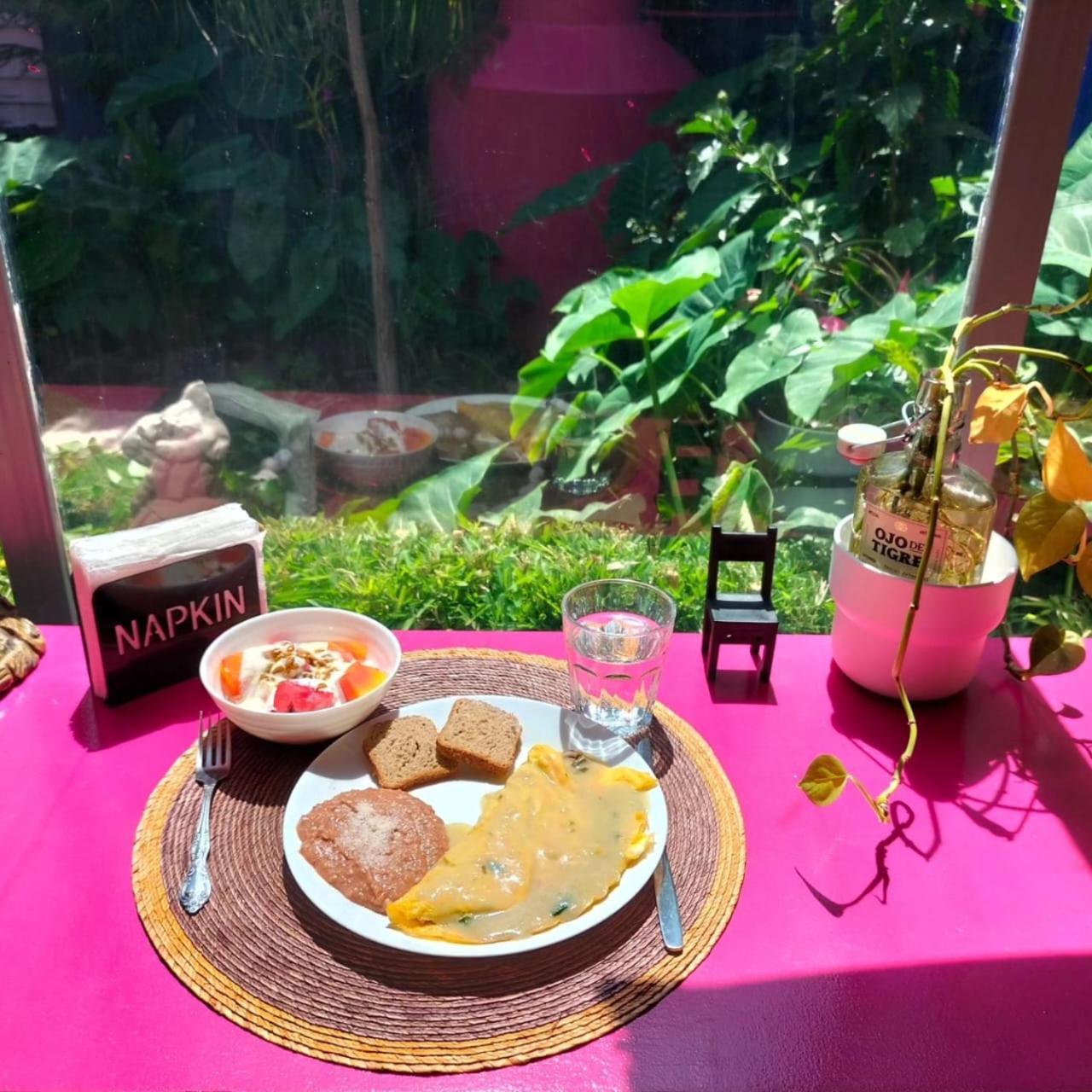 墨西哥城 Casa Maguey酒店 外观 照片