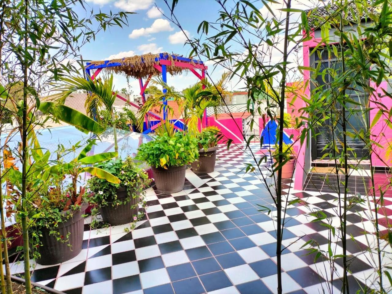 墨西哥城 Casa Maguey酒店 外观 照片